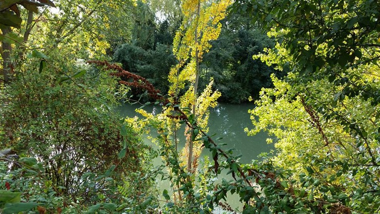 Pensamientos de noviembre: antes de decir una palabra, de lanzar una mirada, de escribir una carta…
