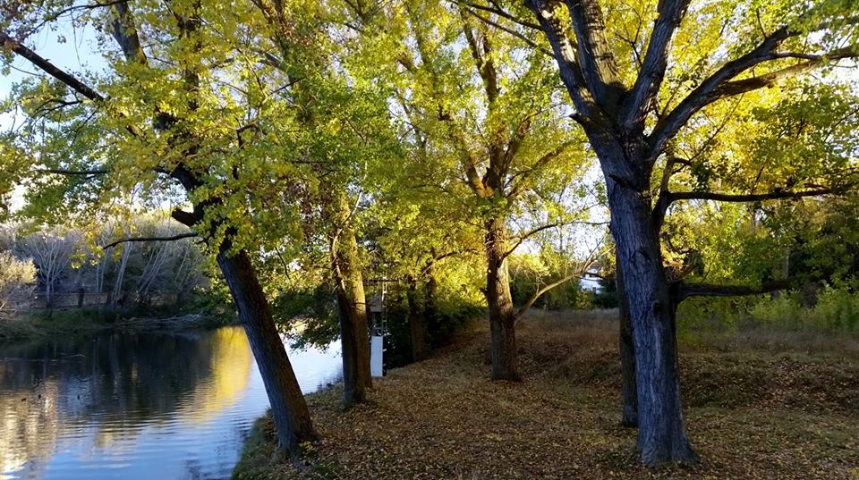Pensamientos de noviembre: cada vez le aportamos más fuerza y más luz…