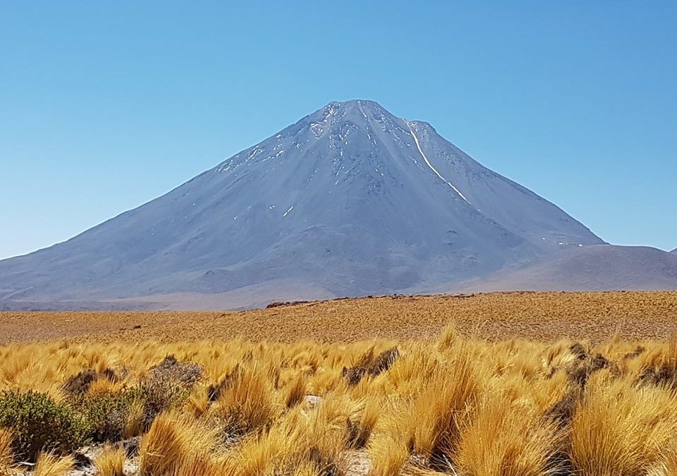 Pensamientos de noviembre: ese pan vivo y maravilloso…