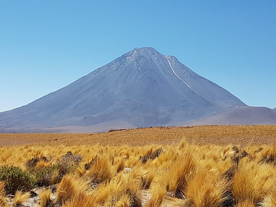 Pensamientos de noviembre: ese pan vivo y maravilloso…