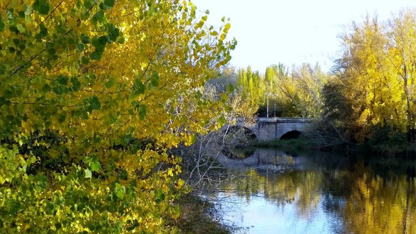 Pensamientos de noviembre: una fuerza que nos habita