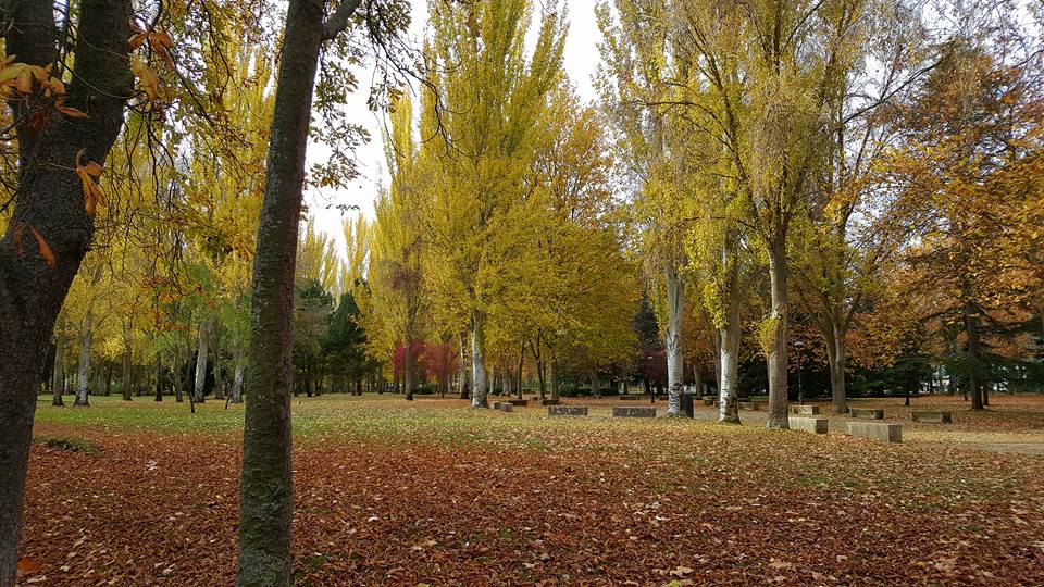 Pensamientos de noviembre: la importancia de la unión…