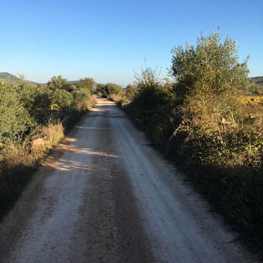 Pensamientos de noviembre: la vida del espíritu manifestándose a través vuestro