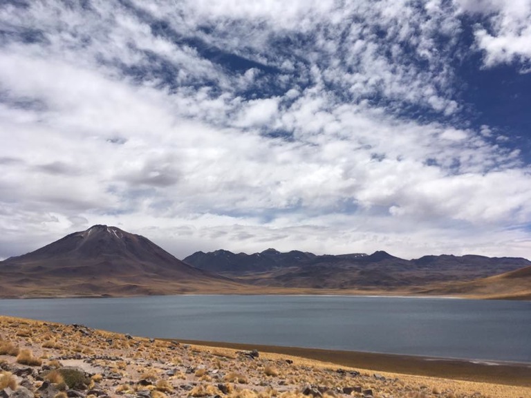 Pensamientos de noviembre: bienaventurados sean los valientes y los justos