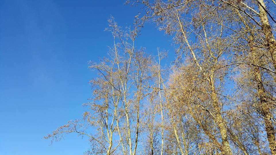 Pensamientos de diciembre: esforzaros en rechazar vuestros límites…