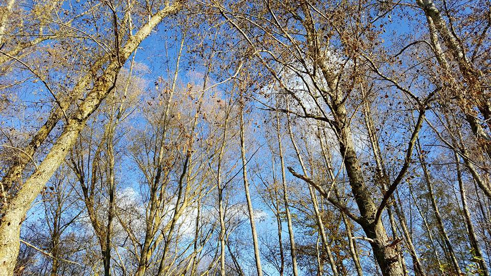 Pensamientos de diciembre: practicad esta magnífica injusticia del amor…