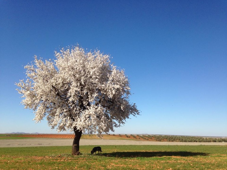 Pensamientos de diciembre: el fuego celestial