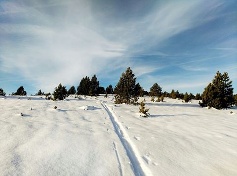 Pensamientos de diciembre: irradiar una vida nueva, una vida que es amor, luz, pureza…