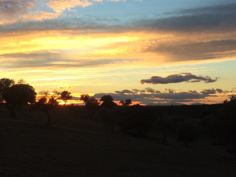 Pensamientos de enero: ¡Cuánta alegría podéis sentir ante la belleza de la naturaleza, la salida del sol, el cielo estrellado!
