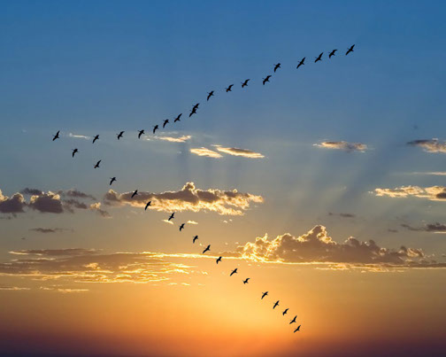 Pensamientos de enero: sentiréis que se instala en vosotros un equilibrio