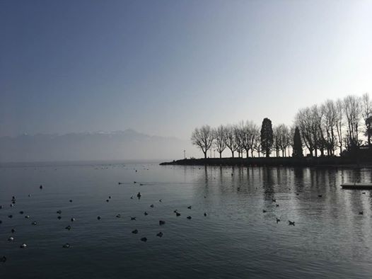 Pensamientos de febrero: unirse cada día a la Fuente inagotable de la vida divina