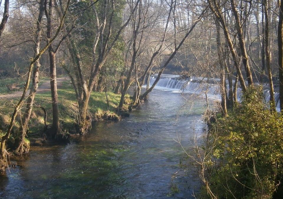 Pensamientos de marzo: esta prodigiosa aparición de la luz…