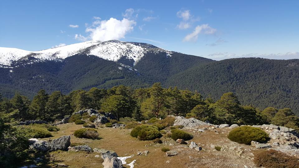 Pensamientos de marzo: somos recibidos en su luz y en su paz