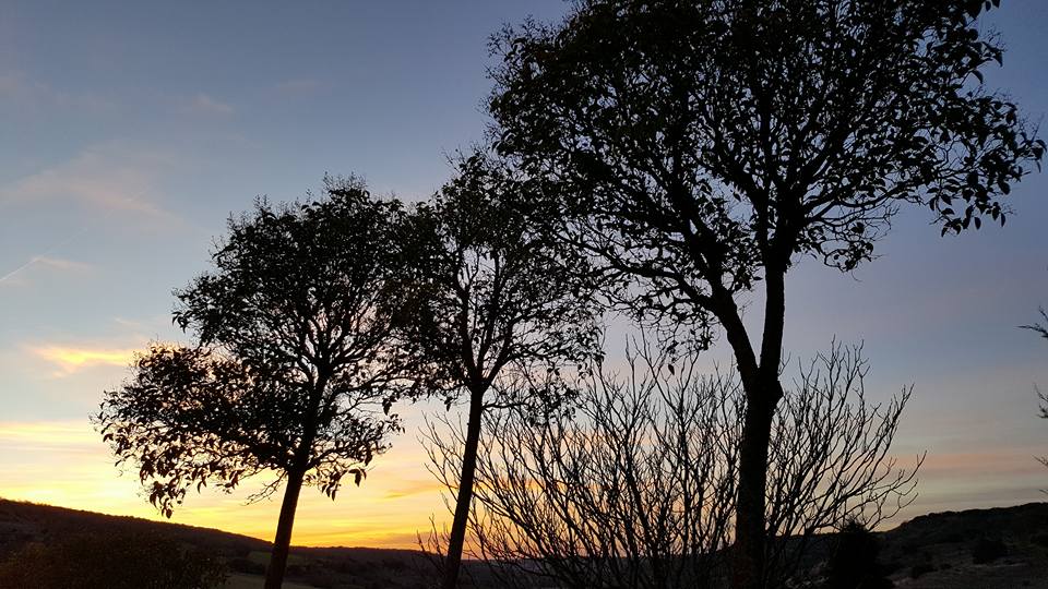 Pensamientos de marzo: el perfume de la armonía