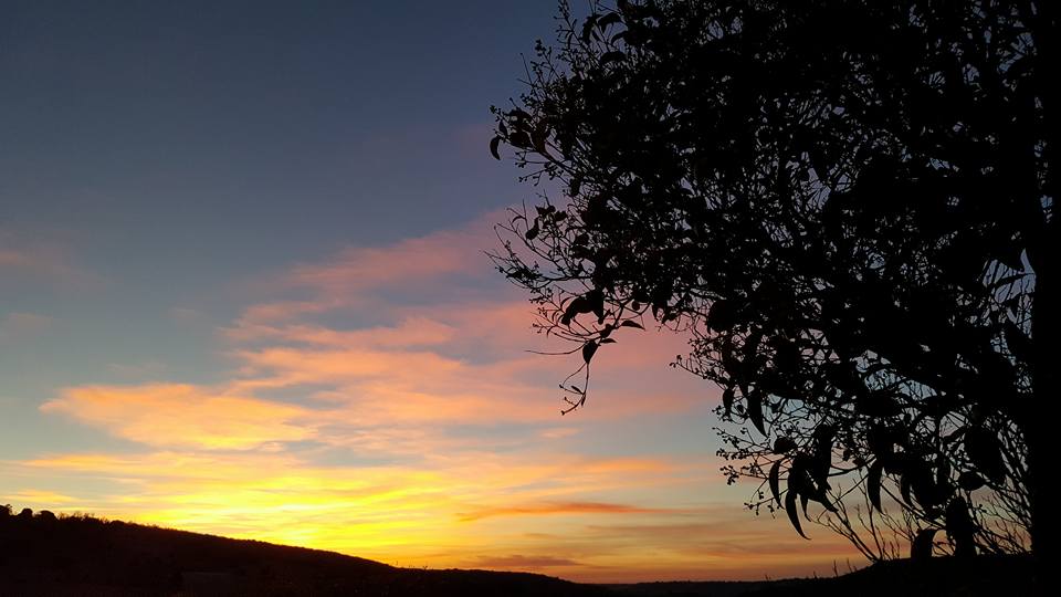 Pensamientos de marzo: habitados por su presencia..