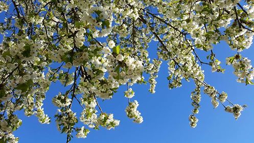 Pensamientos de abril: la serenidad, el dominio de sí mismos…