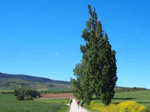 Pensamientos de junio: aprender, perfeccionarnos…
