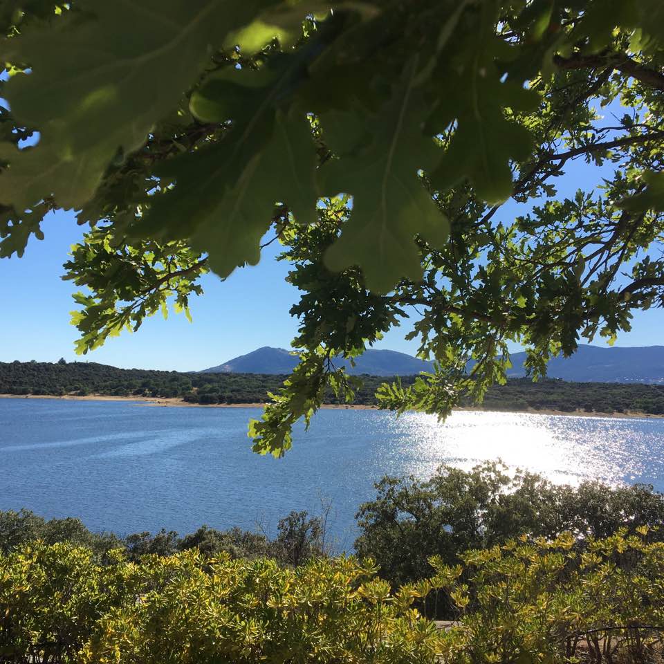 Pensamientos de mayo: siempre se puede progresar…