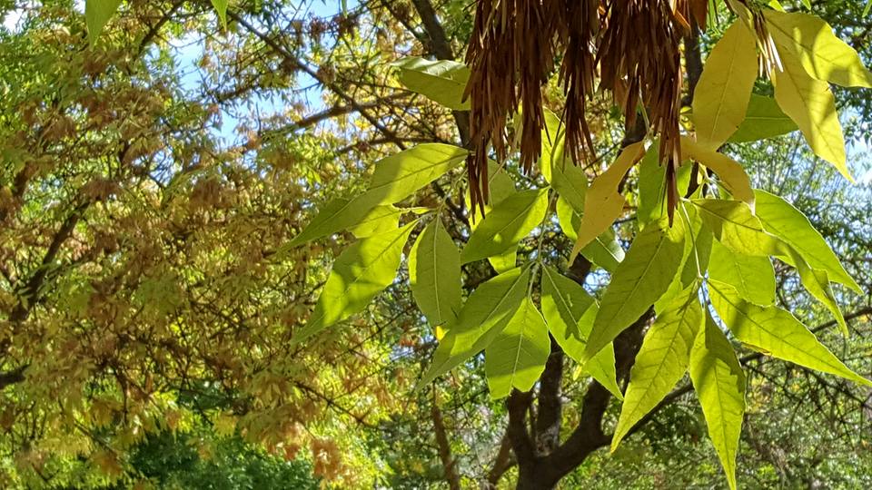 Pensamientos de septiembre: más desinteresados, más comprensivos, más abiertos a los demás…