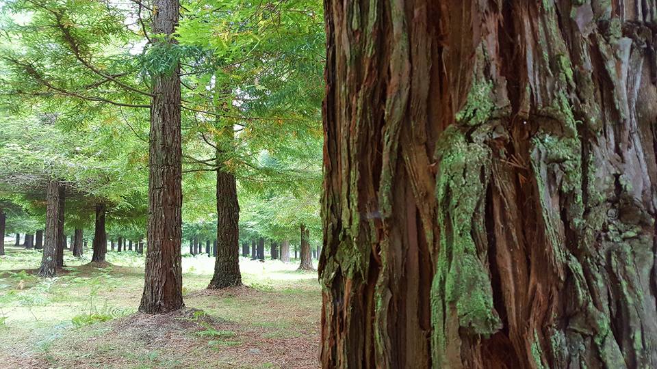 Pensamientos de septiembre: esforzaos por elevaros…