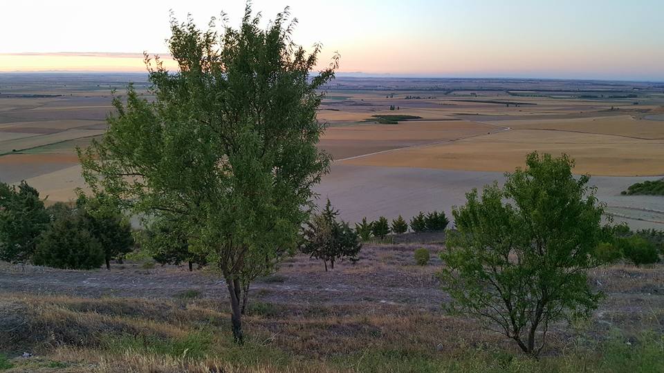 Pensamientos de septiembre: trabajad por la unidad