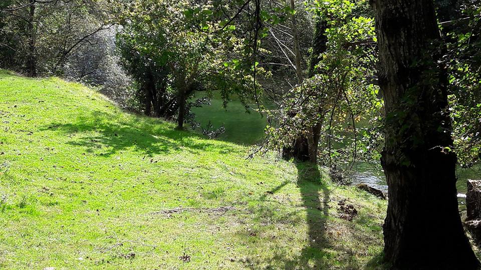 Pensamientos de septiembre: la ciencia de la vida