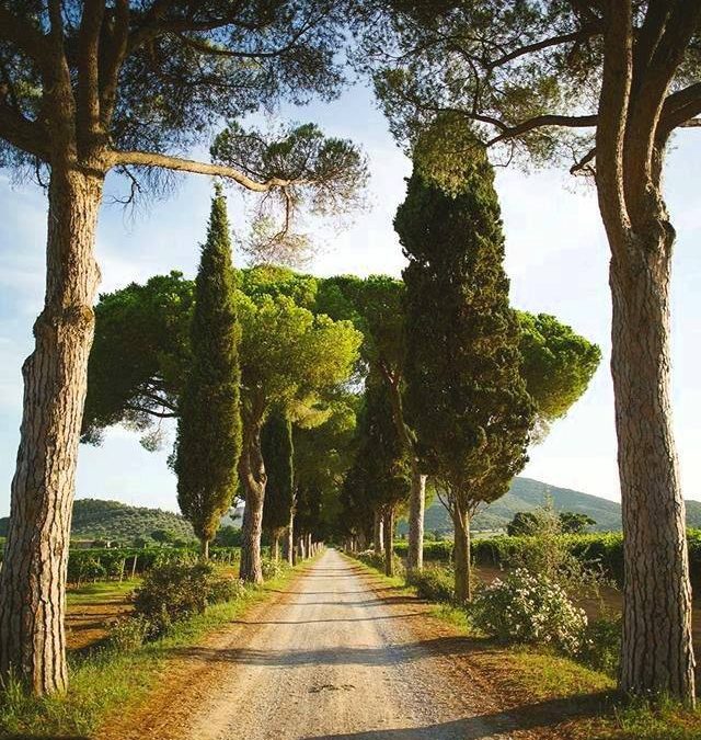 Pensamientos de septiembre: despertar