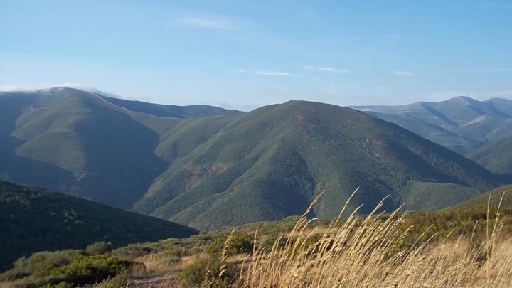 Pensamientos de octubre: mirar hacia arriba, para recibir la luz y la fuerza