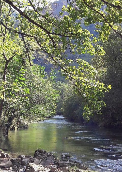 Pensamientos de octubre: recibe un correo…