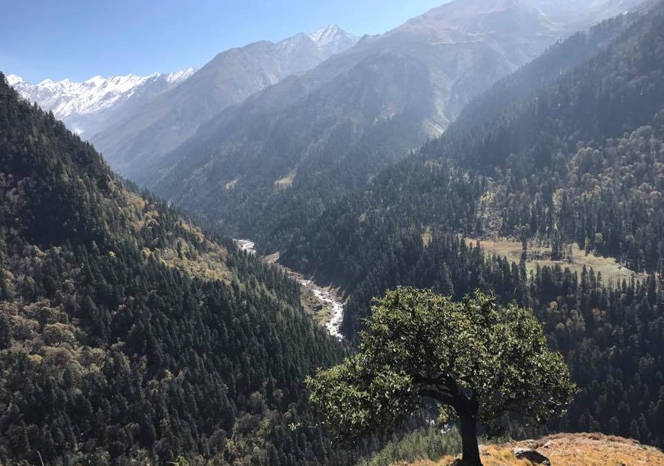 Pensamientos de noviembre: podemos poner mucho amor y mucha luz en un gesto de la mano y en la mirada que lo acompaña