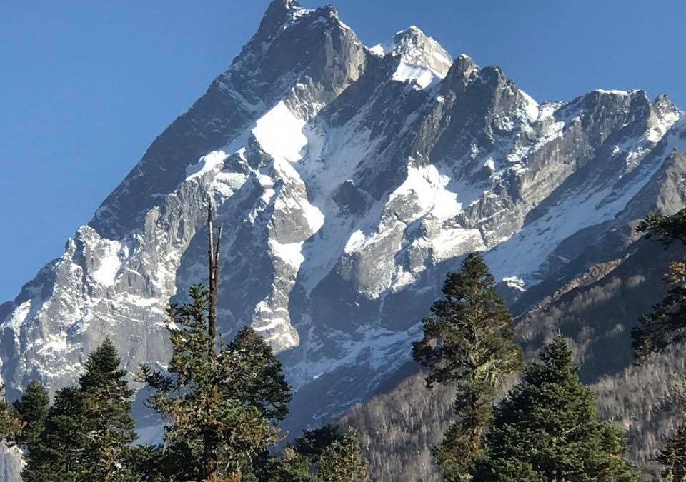 Pensamientos de noviembre: armonizar las partículas y las corrientes en vosotros y en el mundo entero …