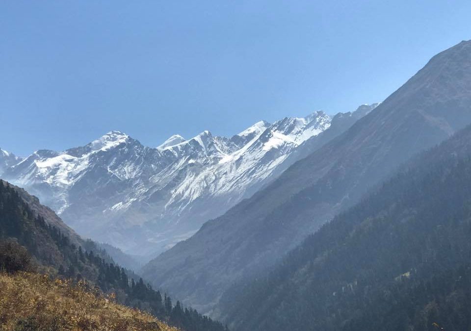 Pensamientos de noviembre: aseguraros bien de que vuestro pensamiento no se aleja de las regiones de la luz y del silencio interior