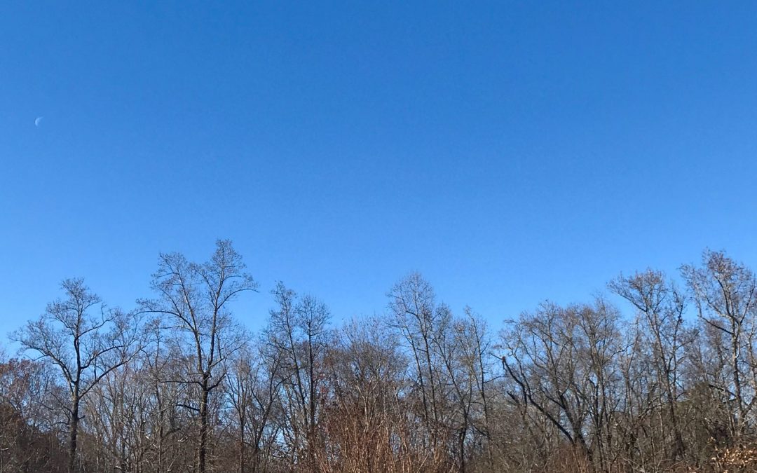 Pensamientos de diciembre: se disipará la oscuridad y el frío os abandonará…