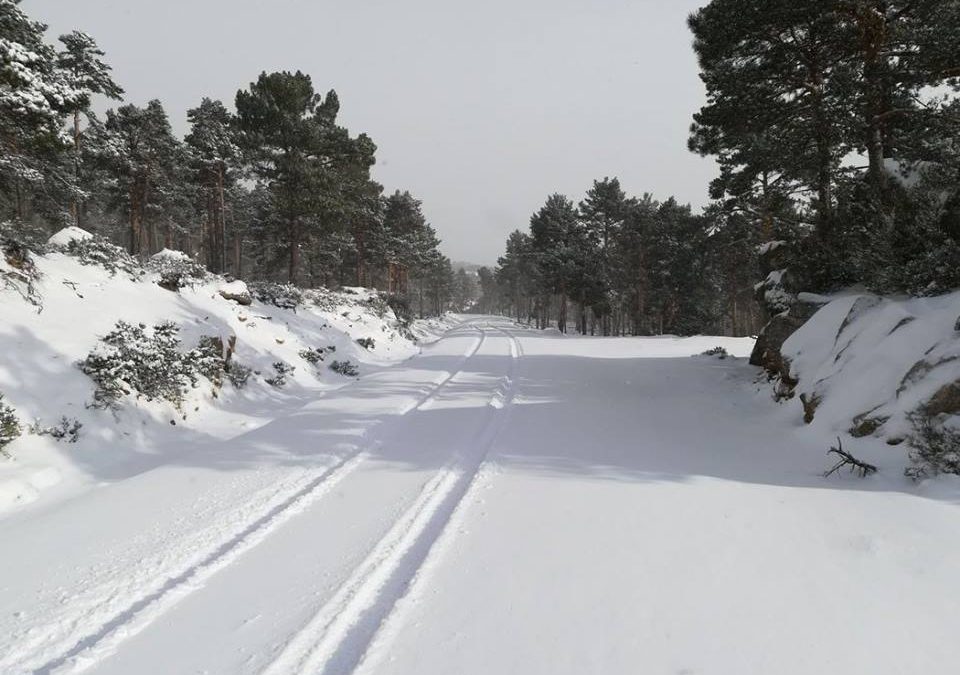 Pensamientos de diciembre: entrar en comunicación con el Cielo…