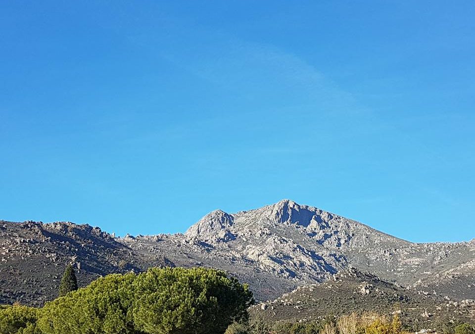 Pensamientos de diciembre: estar vivos