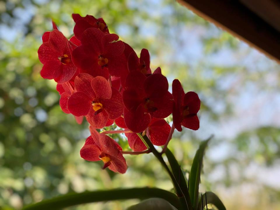 Pensamientos de febrero: recurrid a los mejores pensamientos y a los mejores sentimientos para que os acompañen en este viaje…