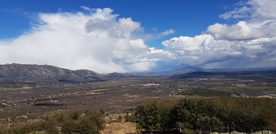 Pensamientos de marzo: también nosotros somos semillas…