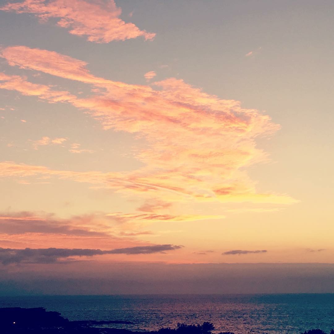 Pensamientos de marzo: captar la quintaesencia