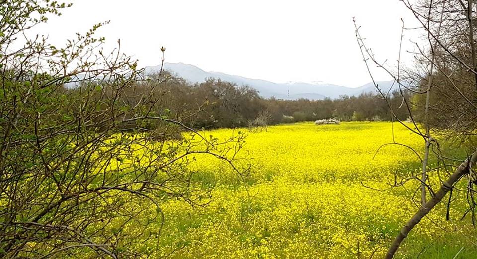 Pensamientos de abril: la conexión