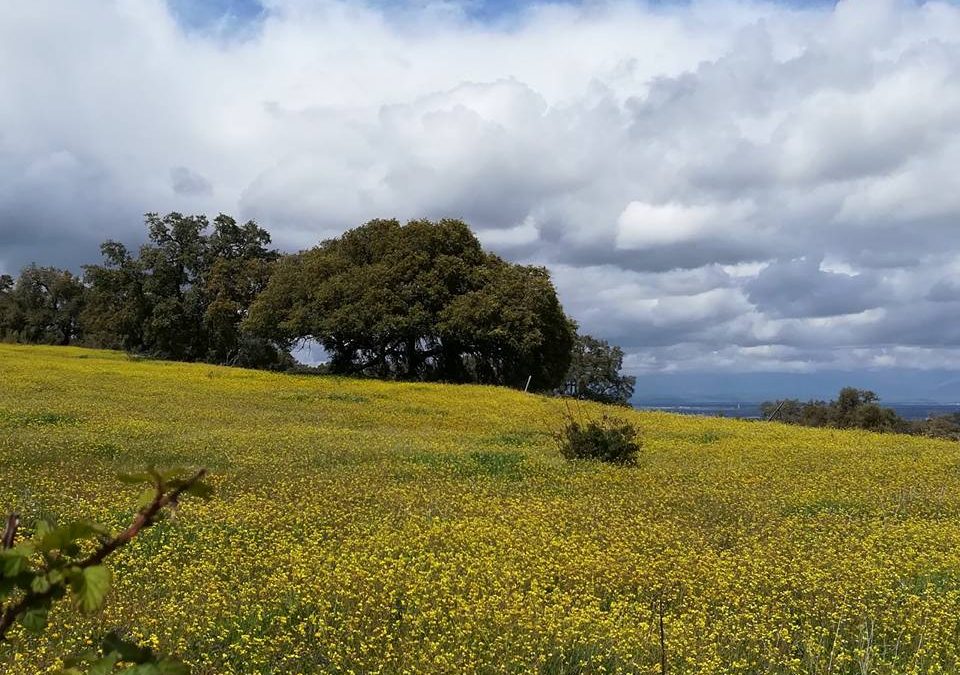 Pensamientos de abril: tomar el sol como modelo