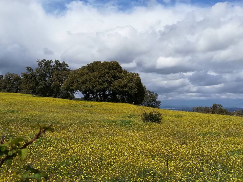 Pensamientos de abril: tomar el sol como modelo