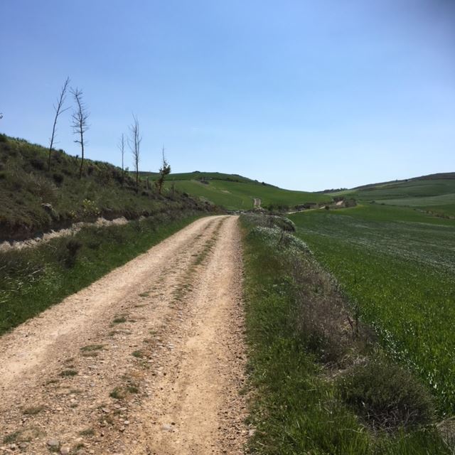Pensamientos de mayo: esforzaos en vivir bien el día de hoy