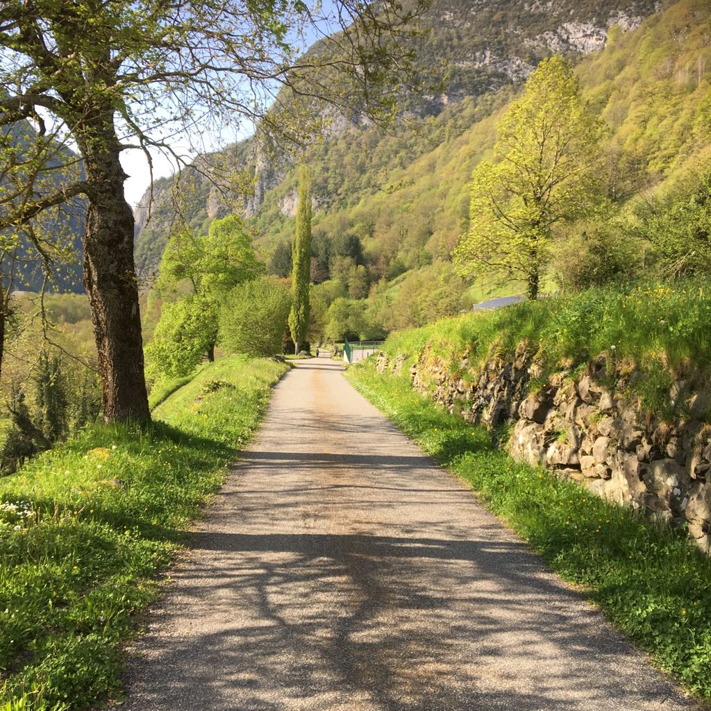 Pensamientos de mayo: este es el momento de ejercitarme