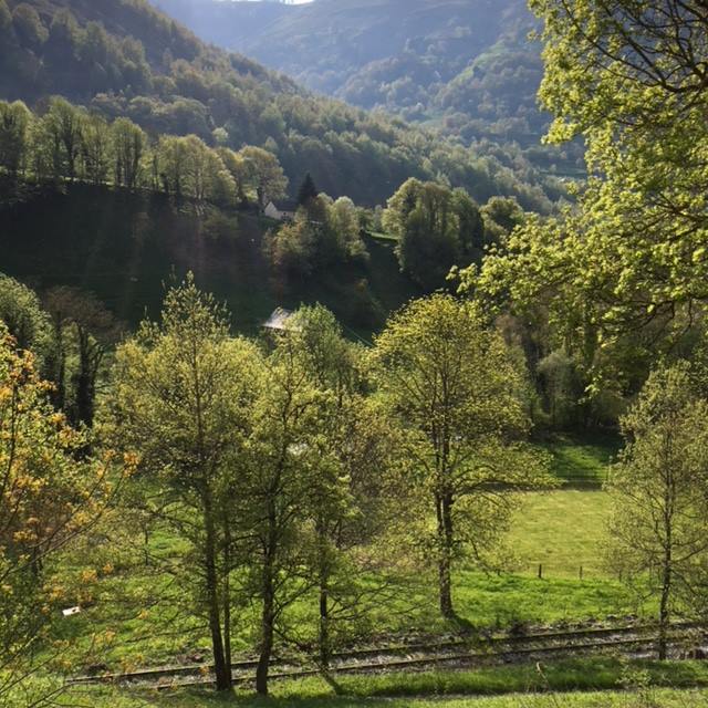 Pensamientos de abril: el destino del ser humano…