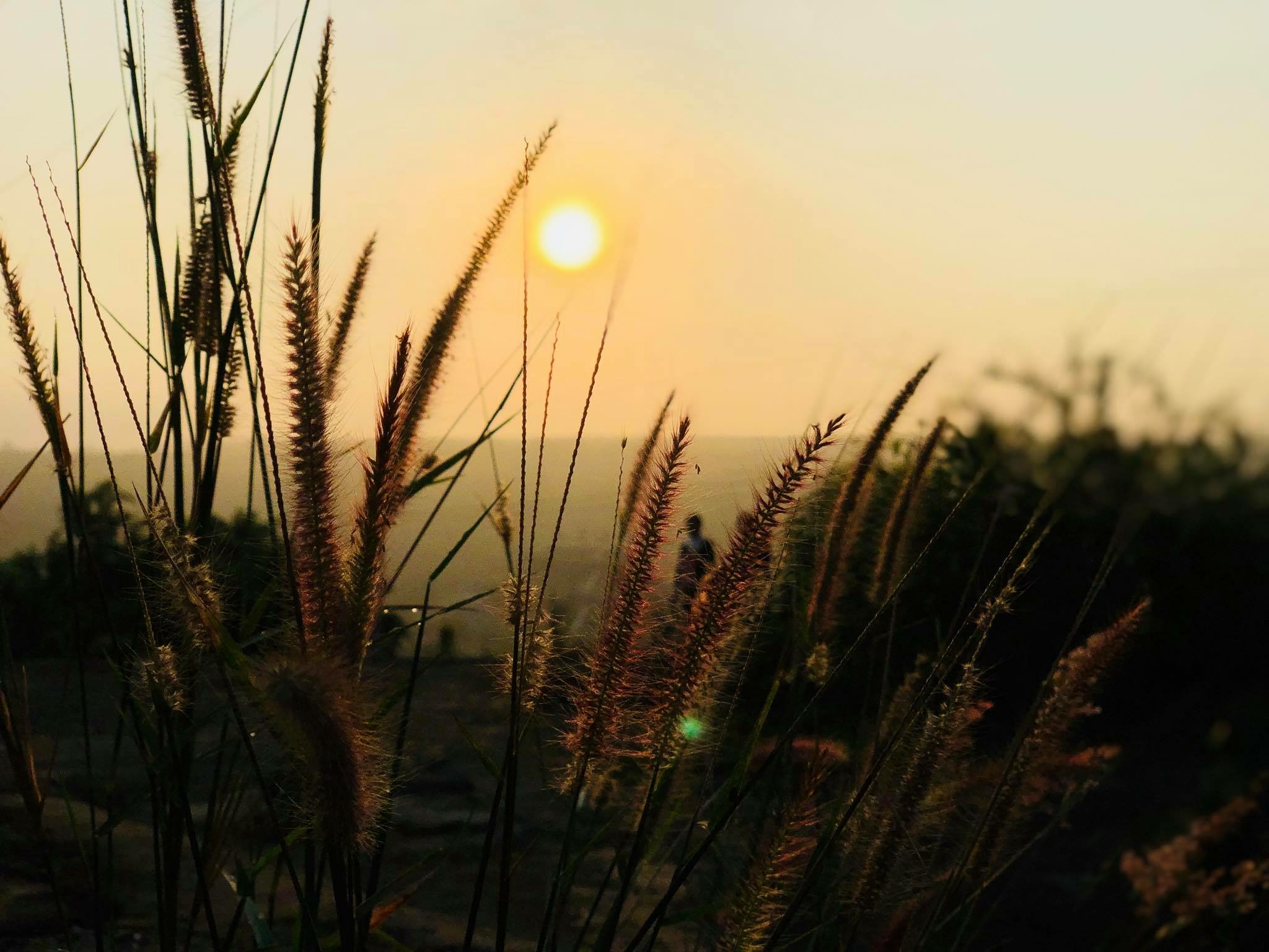 Pensamientos de mayo: repartir los tesoros