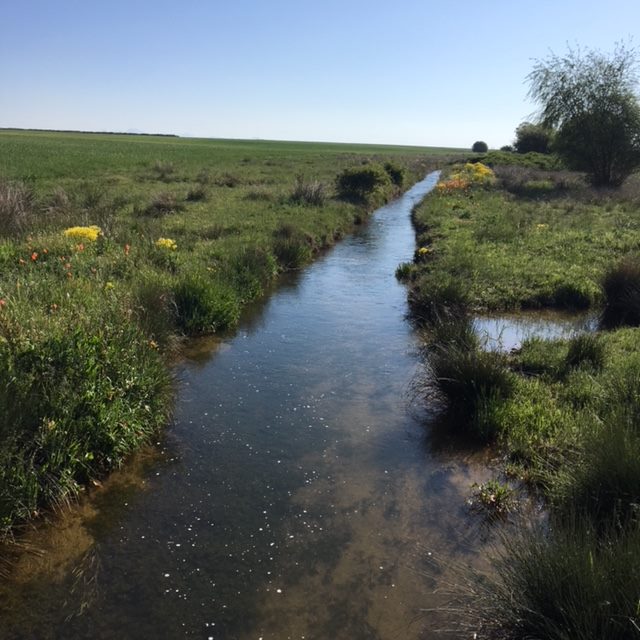Pensamientos de junio: imaginad que enviáis vuestro amor al mundo entero