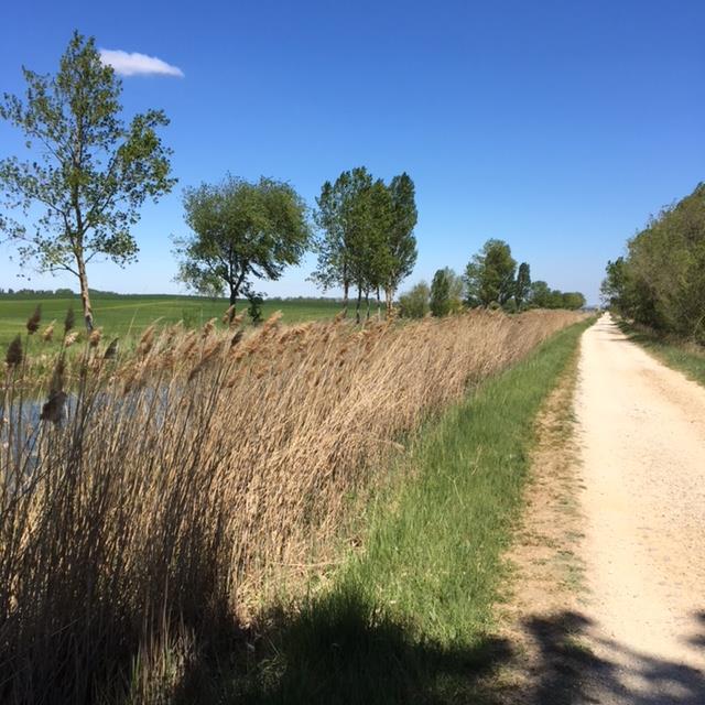 Pensamientos de junio: convertirse en canal de las corrientes benéficas