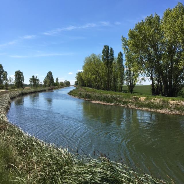 Pensamientos de junio: debéis sacrificar algo de vuestra personalidad…