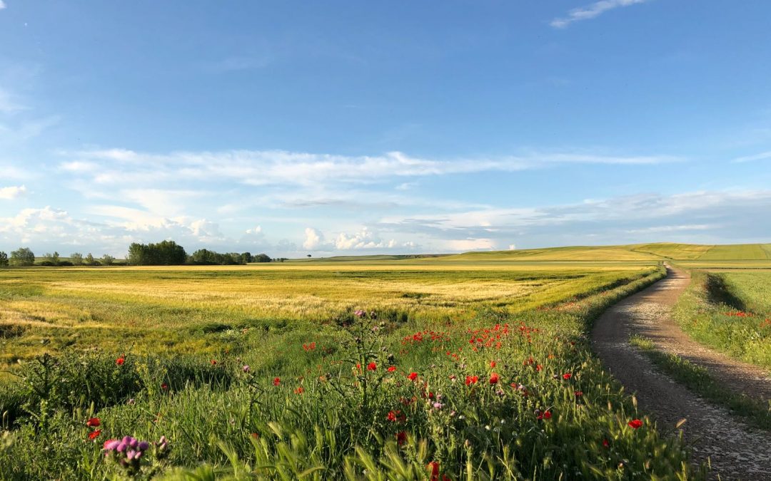 Pensamientos de junio: manteniendo la unión con la fuente de la vida…