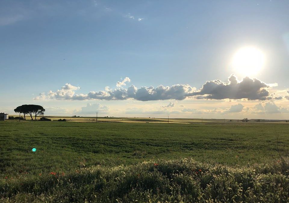 Pensamientos de junio: un vestido sutil que querréis proteger